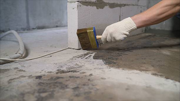 SJ Waterproofing Pros Waterproofing coverage map for Howard City, MI and surrounding area